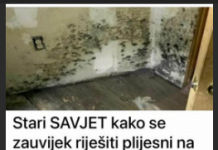Stari SAVJET kako se zauvijek riješiti plijesni na zidovima u stanu: Nestat će i nikada se više neće pojaviti!