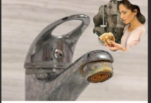 Trik za ČIŠĆENJE KAMENCA se širi kao zaraza: Srpska influenserka otkrila caku – ne treba vam NI VODA, samo 1 stvar koju SVI imamo