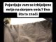 POJAVLJUJE VAM SE IZBIJELJENJE MRLJE NA DONJEM VEŠU – Evo šta to znači