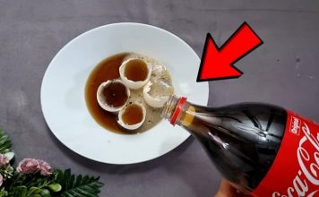 Uzmite čašu PIVA, obične paste za zube i dobro sačuvajte ovaj domaći trik: Koristim ga godinama i preporučujem svima!