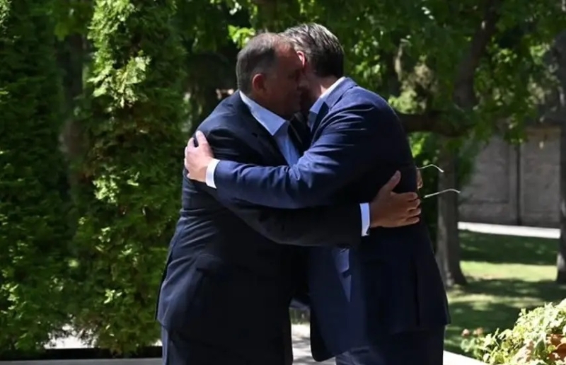 a33efe81b355a8551c8f01c9715156e8