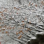 Za vikend u većem dijelu Bosne i Hercegovine zimske temperature, padat će i snijeg