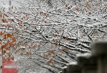 Za vikend u većem dijelu Bosne i Hercegovine zimske temperature, padat će i snijeg