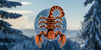 ŠKORPIJA: Napokon ljubav o kojoj ste sanjali, ali dobićete i pare!