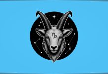 JARAC – HOROSKOP PO CIGANSKIM KARTAMA ZA DRUGU POLOVINU SEPTEMBRA: Mislili ste da je SVE ZAVRŠENO, ali SUDBINA ima DRUGI PLAN, pa je moguće da vam se javi neko IZ PROŠLOSTI i MOLI da NASTAVITE tamo gde ste stali!