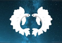 RIBE – HOROSKOP DO KRAJA SEDMICE: Stižu vam LEPE VESTI, neke LJUBAVI su u najavi, a nekima od vas dolazi BIVŠA LJUBAV koja je spremna da vas MOLI za POMIRENJE i NOVU ŠANSU!